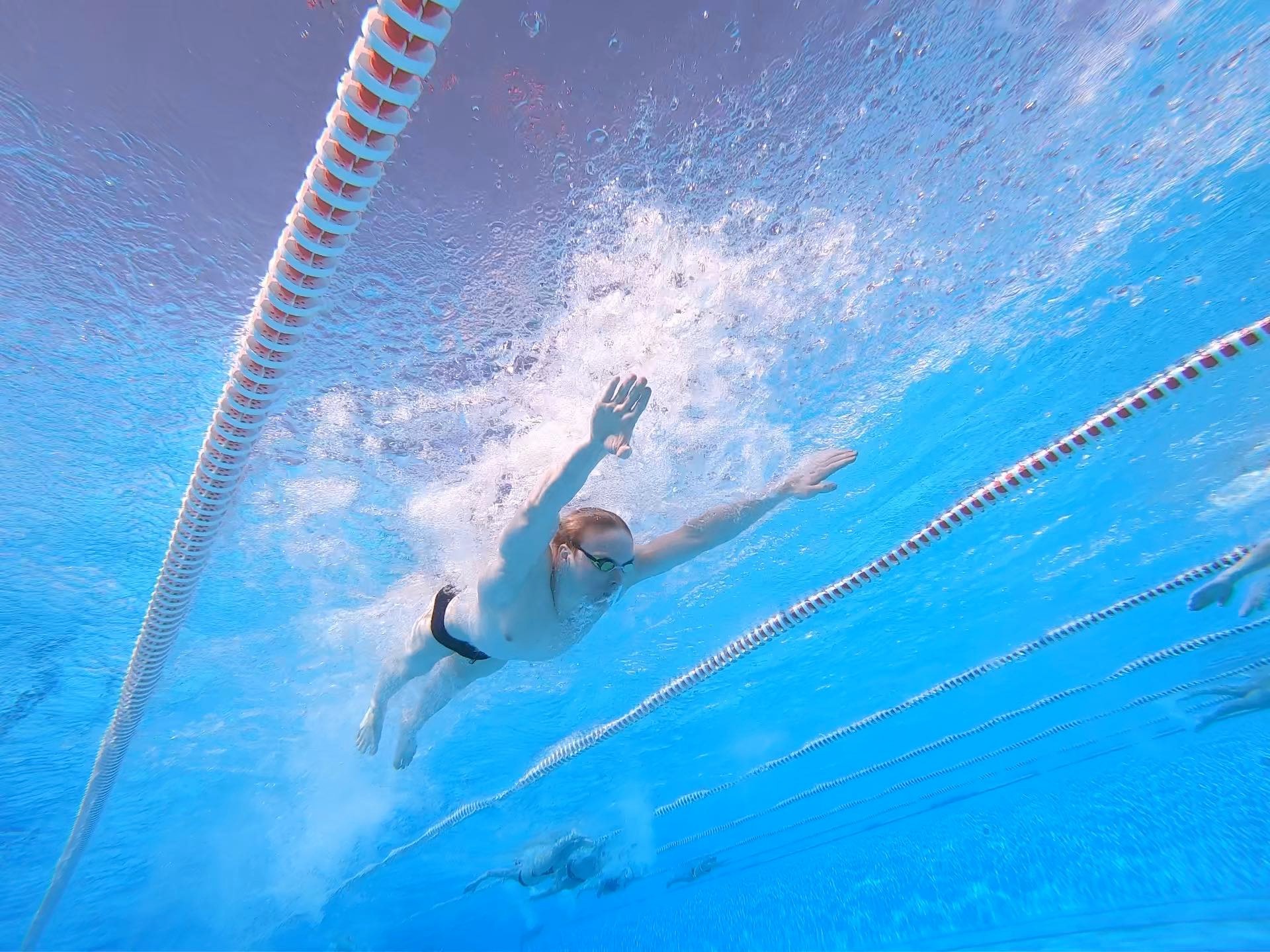 Crawl svømnings billede 